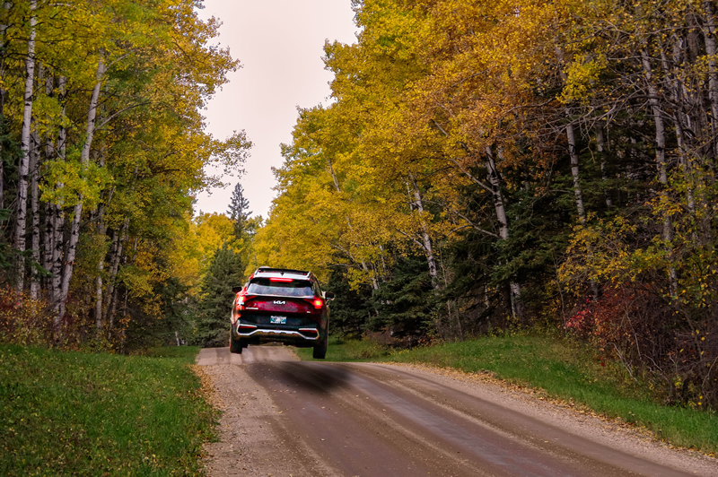 Jump by Steve Tugwell